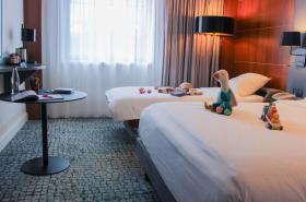 Hotel Mercure Toulouse Centre Compans - photo 18