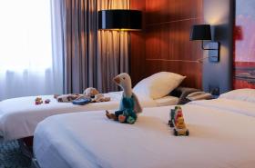 Hotel Mercure Toulouse Centre Compans - photo 11
