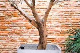 Grand Hôtel d'Orléans - photo 24